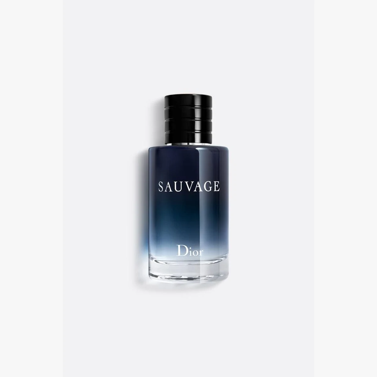 Dior Sauvage Eau de Parfum 100 ml wholesale visual